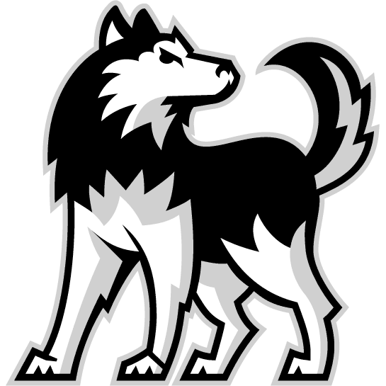 Northern Illinois Huskies 2001-Pres Alternate Logo diy DTF decal sticker